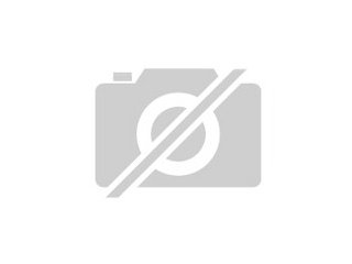 8 Jahre alter Rottweiler Rüde abzugeben